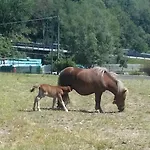 Κατάλυμα σε φάρμα La Miniera Gignese