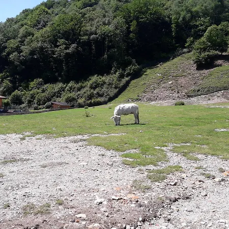 مزرعة للإقامة La Miniera Gignese