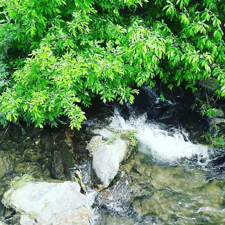 Séjour à la ferme La Miniera Gignese