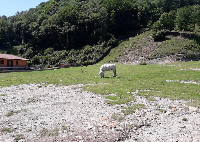 Çiftlik konaklama La Miniera Gignese